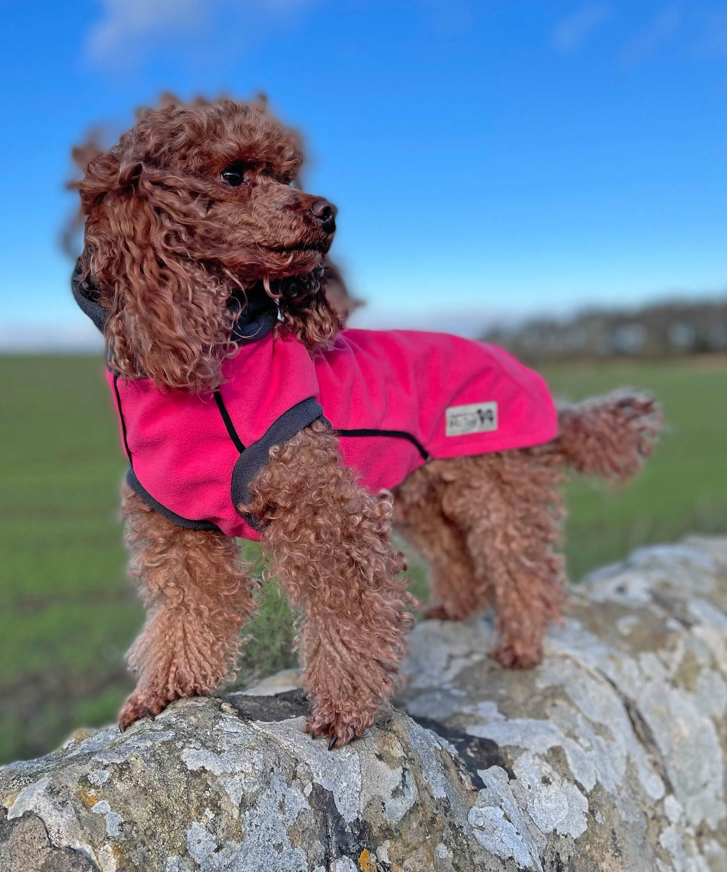 Cerise - Double layer Waterproof Microfleece McTog Dog Jumper